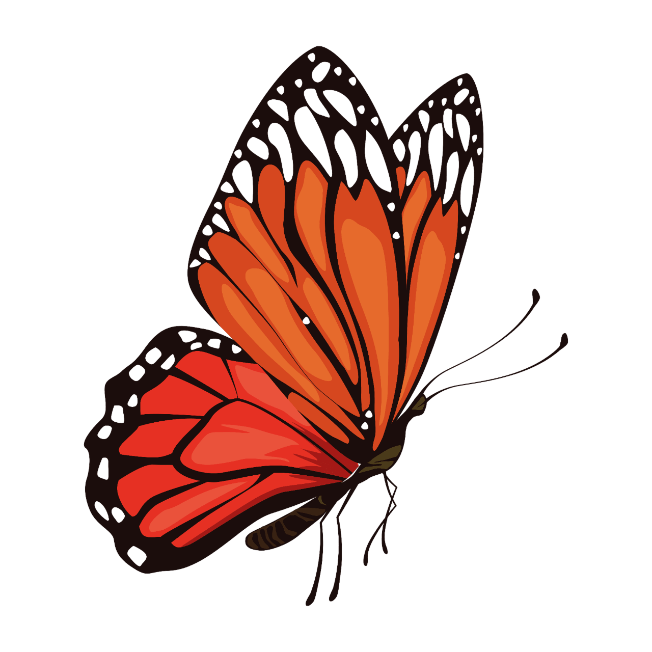 Design elements from children’s storybook